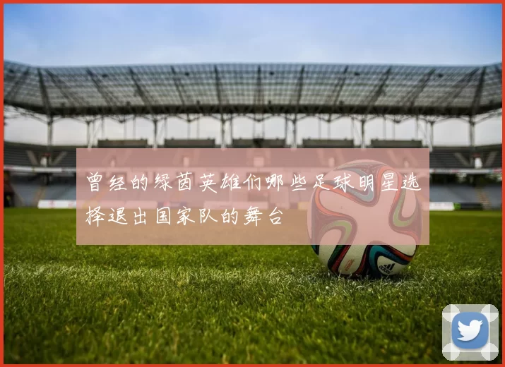 曾经的绿茵英雄们哪些足球明星选择退出国家队的舞台