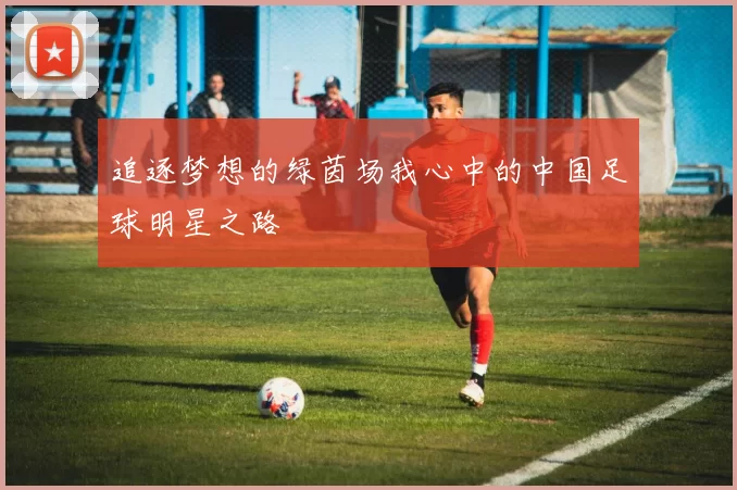 追逐梦想的绿茵场我心中的中国足球明星之路