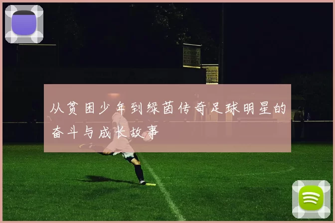 从贫困少年到绿茵传奇足球明星的奋斗与成长故事