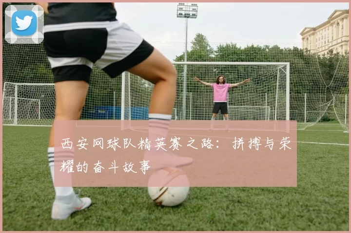 西安网球队精英赛之路：拼搏与荣耀的奋斗故事