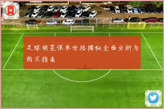 足球明星保单价格揭秘全面分析与购买指南