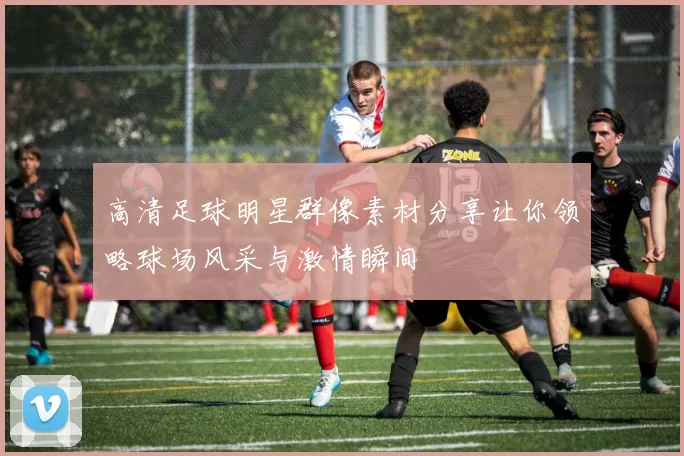 高清足球明星群像素材分享让你领略球场风采与激情瞬间