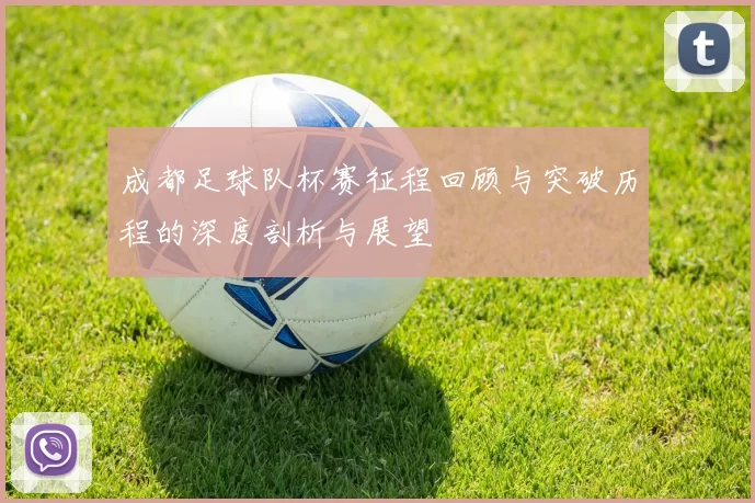 成都足球队杯赛征程回顾与突破历程的深度剖析与展望