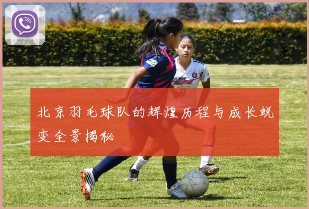 北京羽毛球队的辉煌历程与成长蜕变全景揭秘